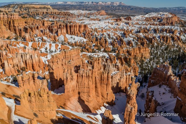 USA | Canyons & Yellowstone NP im Winter | Bryce Canyon