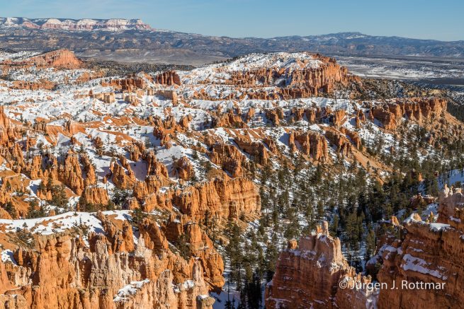 USA | Canyons & Yellowstone NP im Winter | Bryce Canyon
