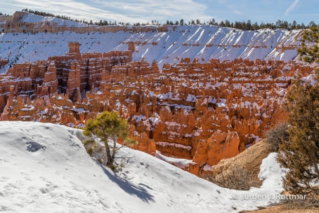 USA | Canyons & Yellowstone NP im Winter | Bryce Canyon