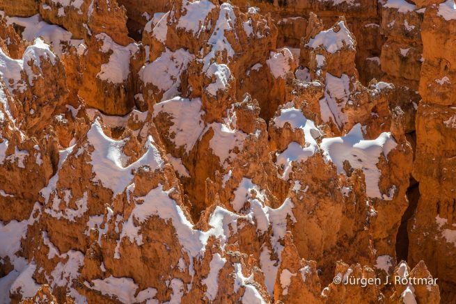 USA | Canyons & Yellowstone NP im Winter | Bryce Canyon
