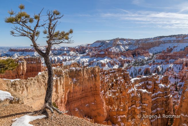 USA | Canyons & Yellowstone NP im Winter | Bryce Canyon