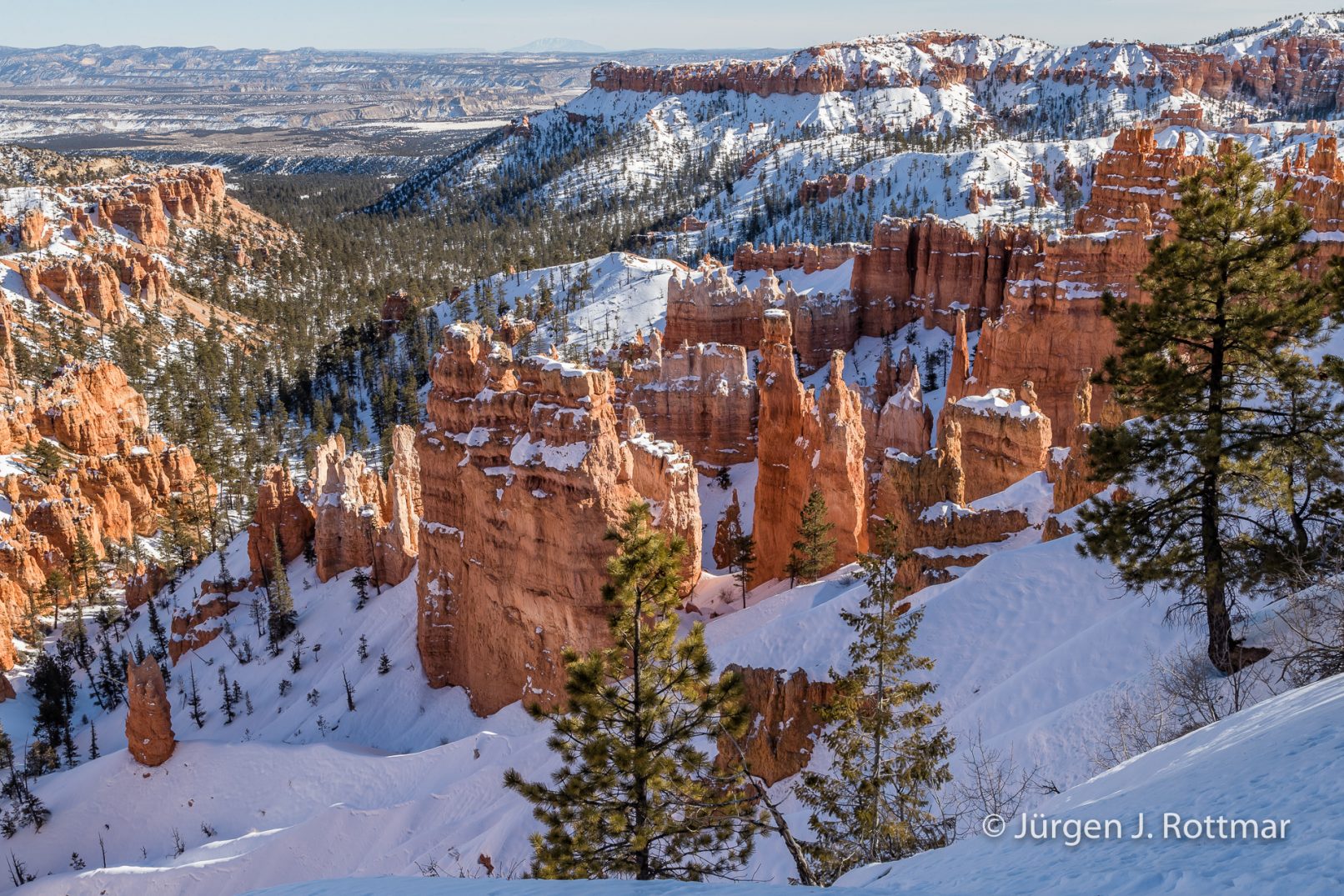 USA | Canyons & Yellowstone NP im Winter | Bryce Canyon
