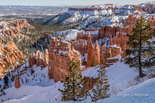 USA | Canyons & Yellowstone NP im Winter | Bryce Canyon