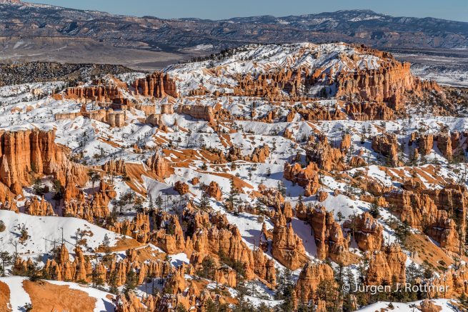 USA | Canyons & Yellowstone NP im Winter | Bryce Canyon