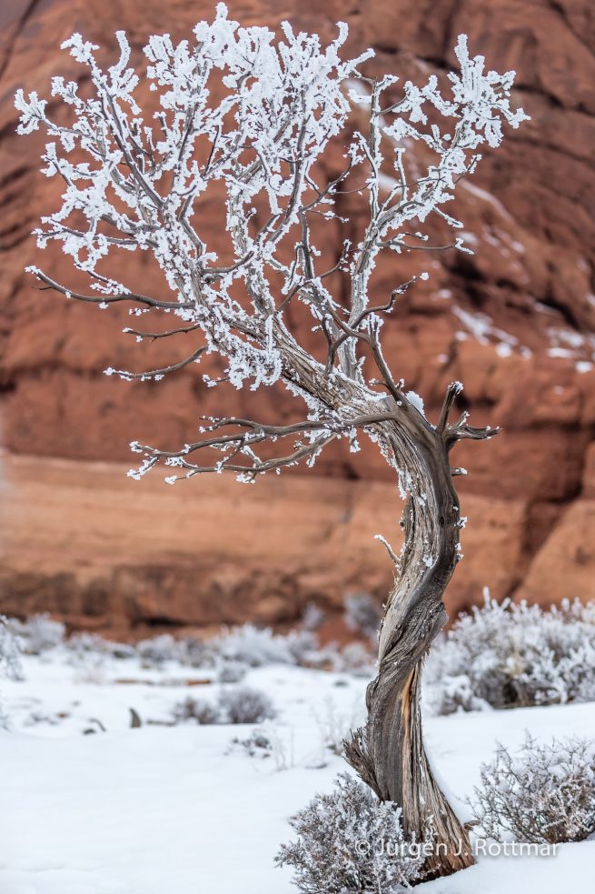 USA | Canyons & Yellowstone NP im Winter | Utah | Moab | Arches NP