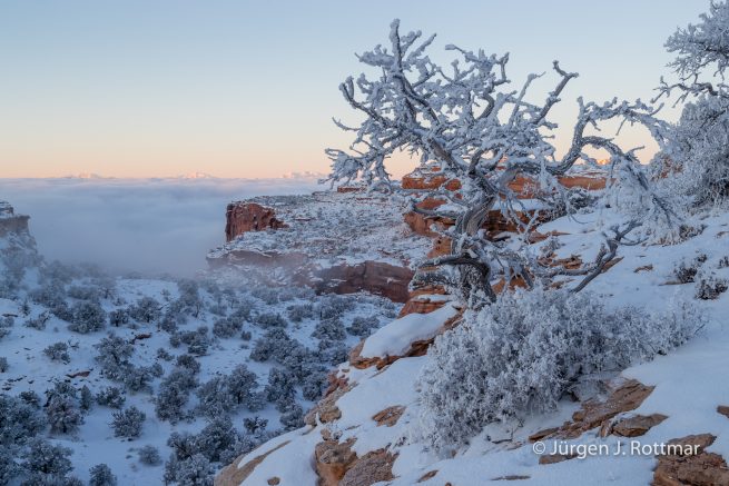 USA | Canyons & Yellowstone NP im Winter | Utah | Moab | Canyonlands NP