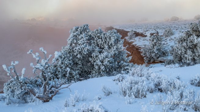 USA | Canyons & Yellowstone NP im Winter | Utah | Moab | Canyonlands NP