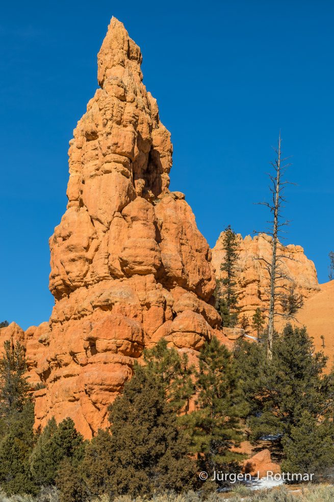 USA | Canyons & Yellowstone NP im Winter | Arizona | Red Canyon