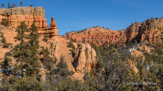 USA | Canyons & Yellowstone NP im Winter | Arizona | Red Canyon