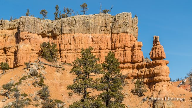 USA | Canyons & Yellowstone NP im Winter | Arizona | Red Canyon