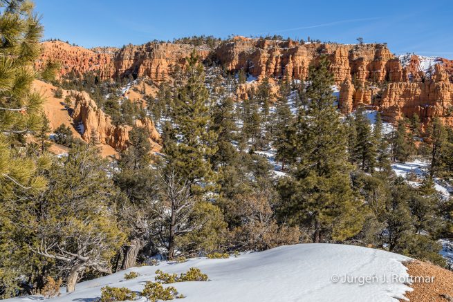 USA | Canyons & Yellowstone NP im Winter | Arizona | Red Canyon